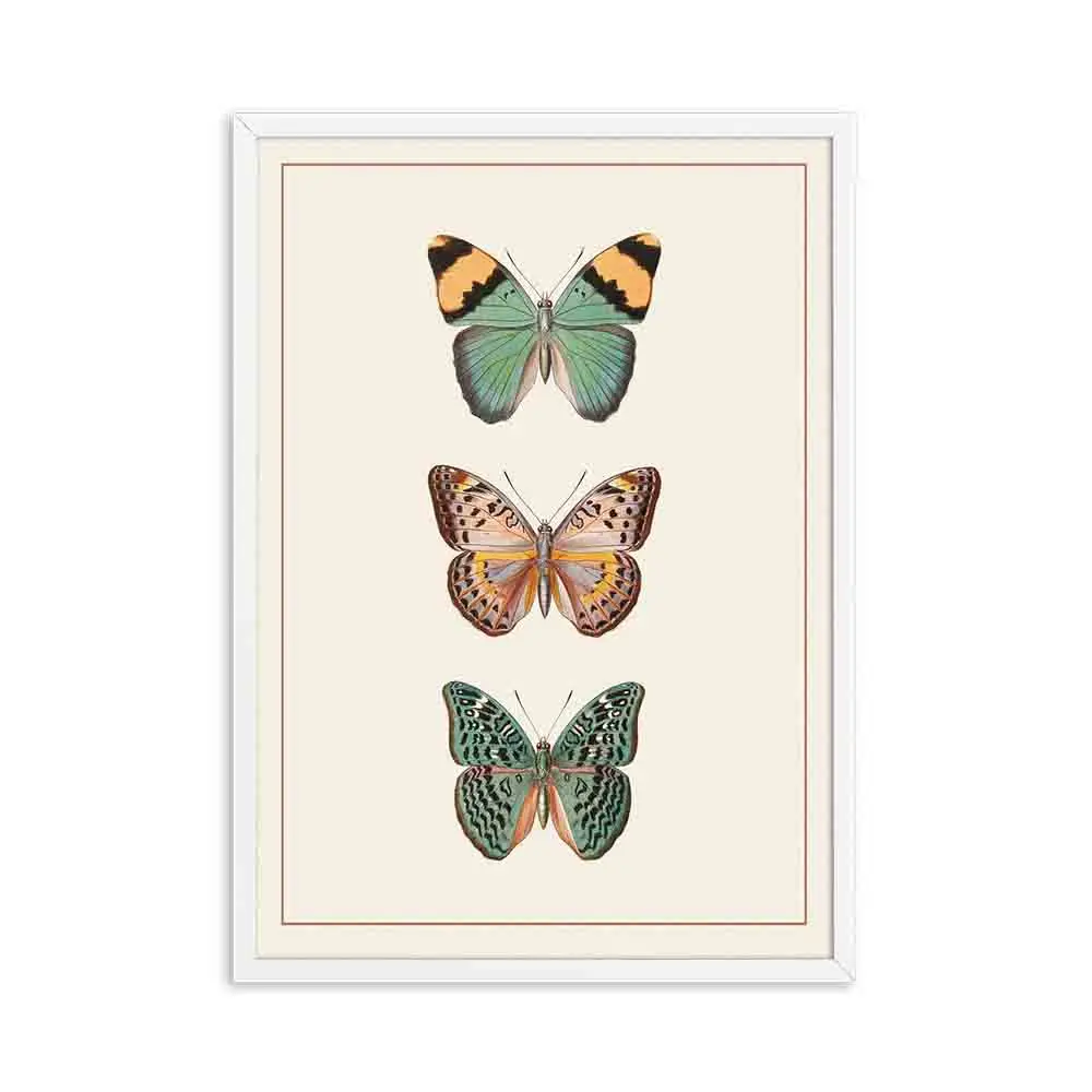 Vintage Butterfly Wall Art Poster