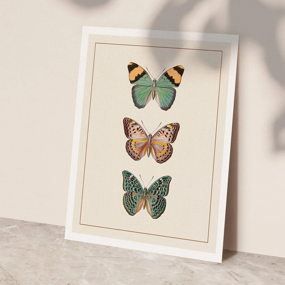 Vintage Butterfly Wall Art Poster