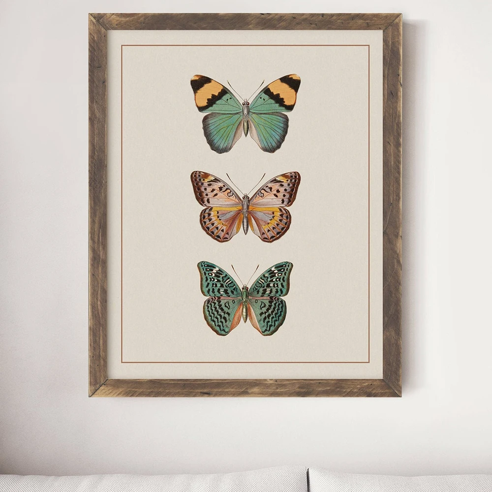 Vintage Butterfly Wall Art Poster