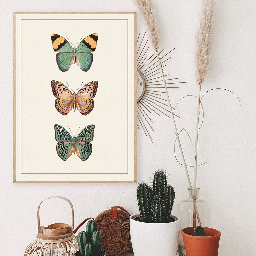 Vintage Butterfly Wall Art Poster