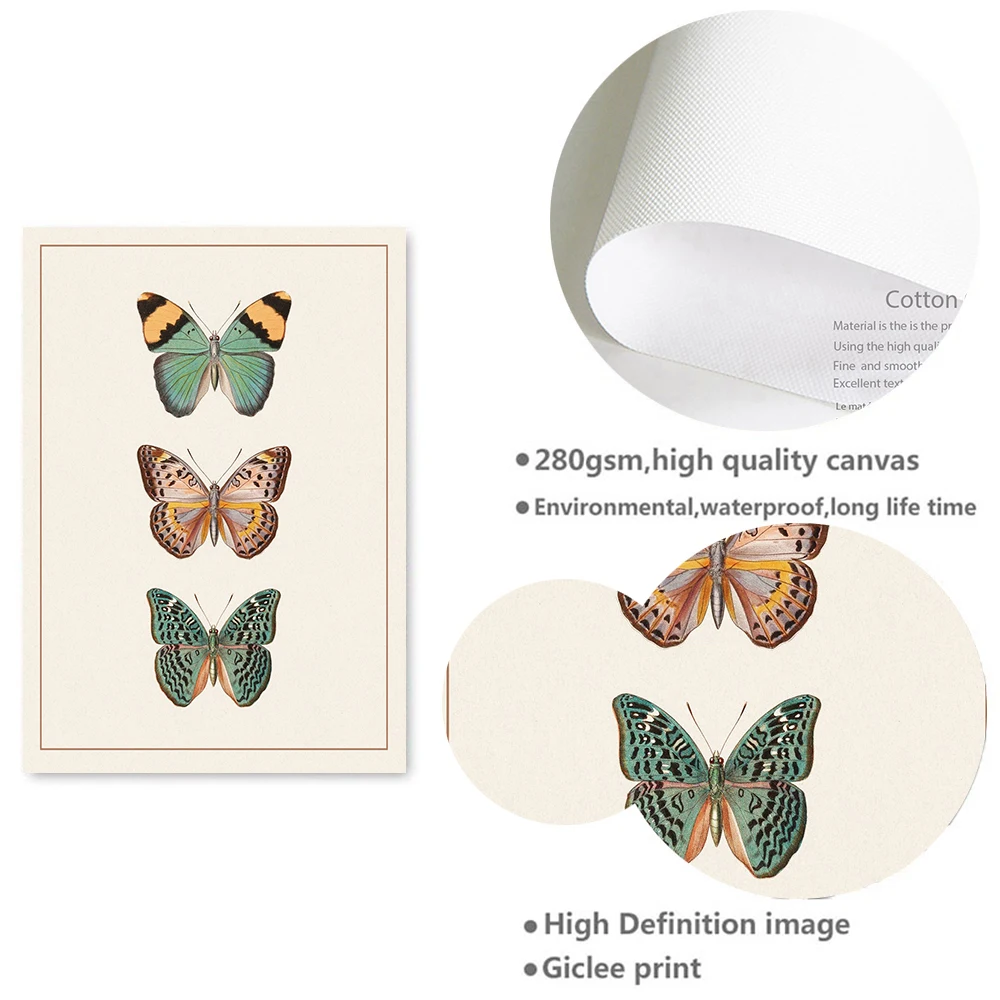 Vintage Butterfly Wall Art Poster