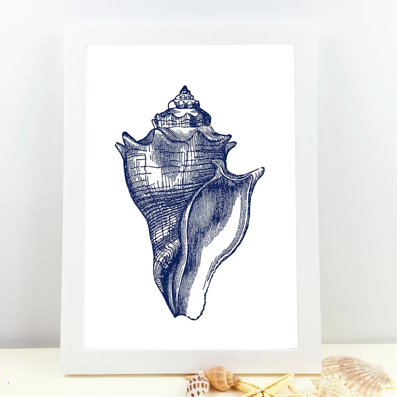 Hampton Style Seashells Wall Poster