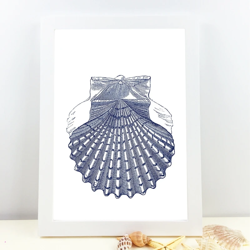 Hampton Style Seashells Wall Poster