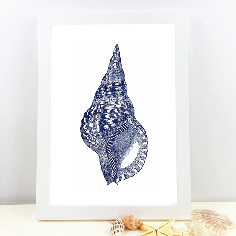 Hampton Style Seashells Wall Poster