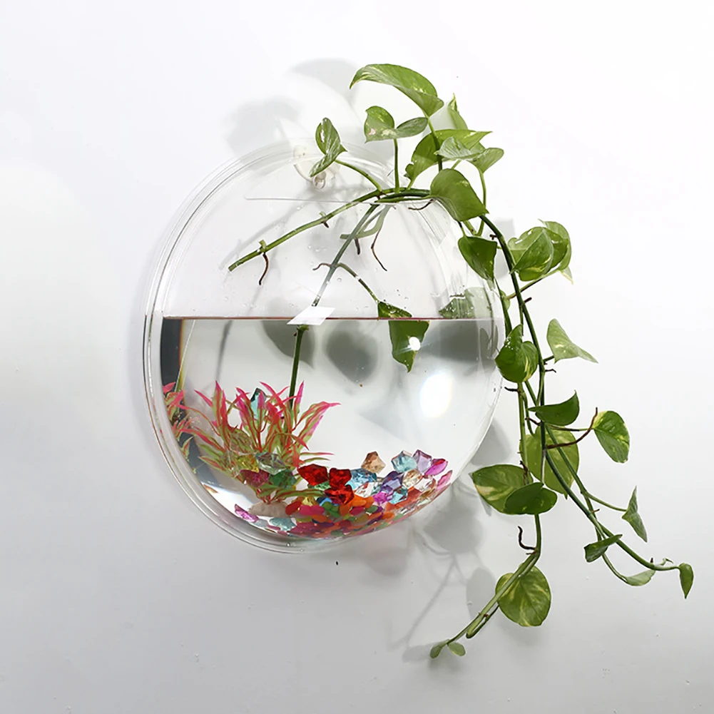 Acrylic Wall Mounted Vase and Fish Tank