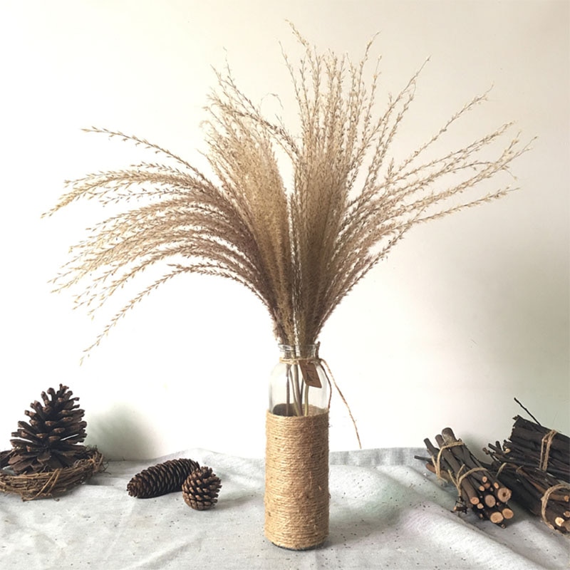 Pampas Grass Decor