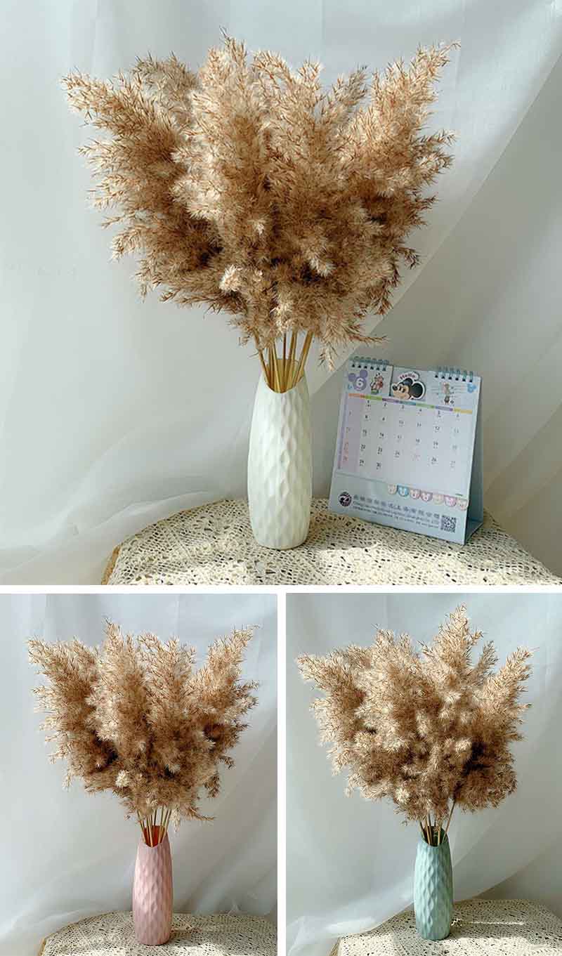 Pampas Grass Decor