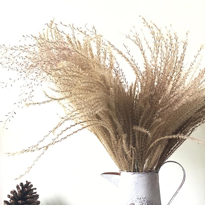 Pampas Grass Decor