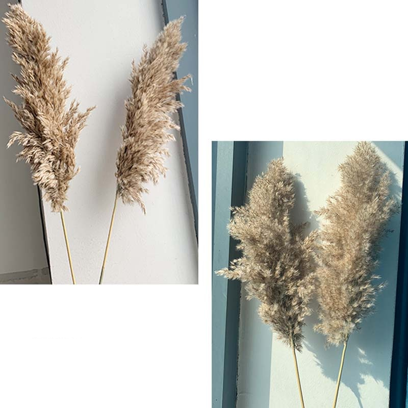 Pampas Grass Decor