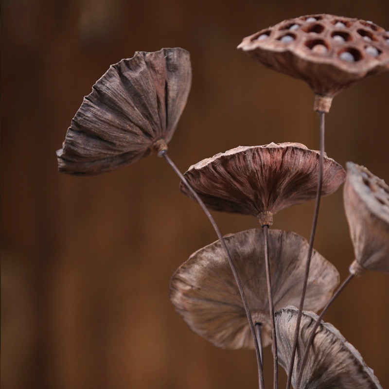 Large Decorative Dried Lotus Flower