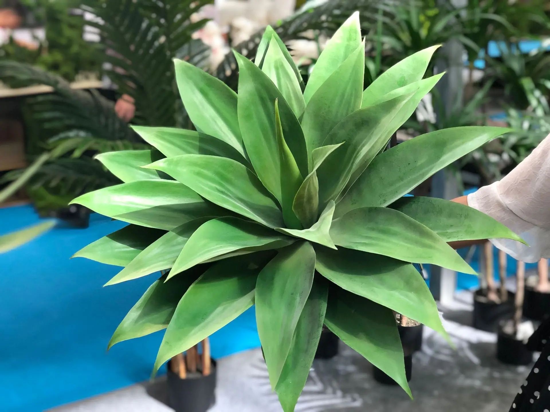 Artificial Plastic Agave Plant