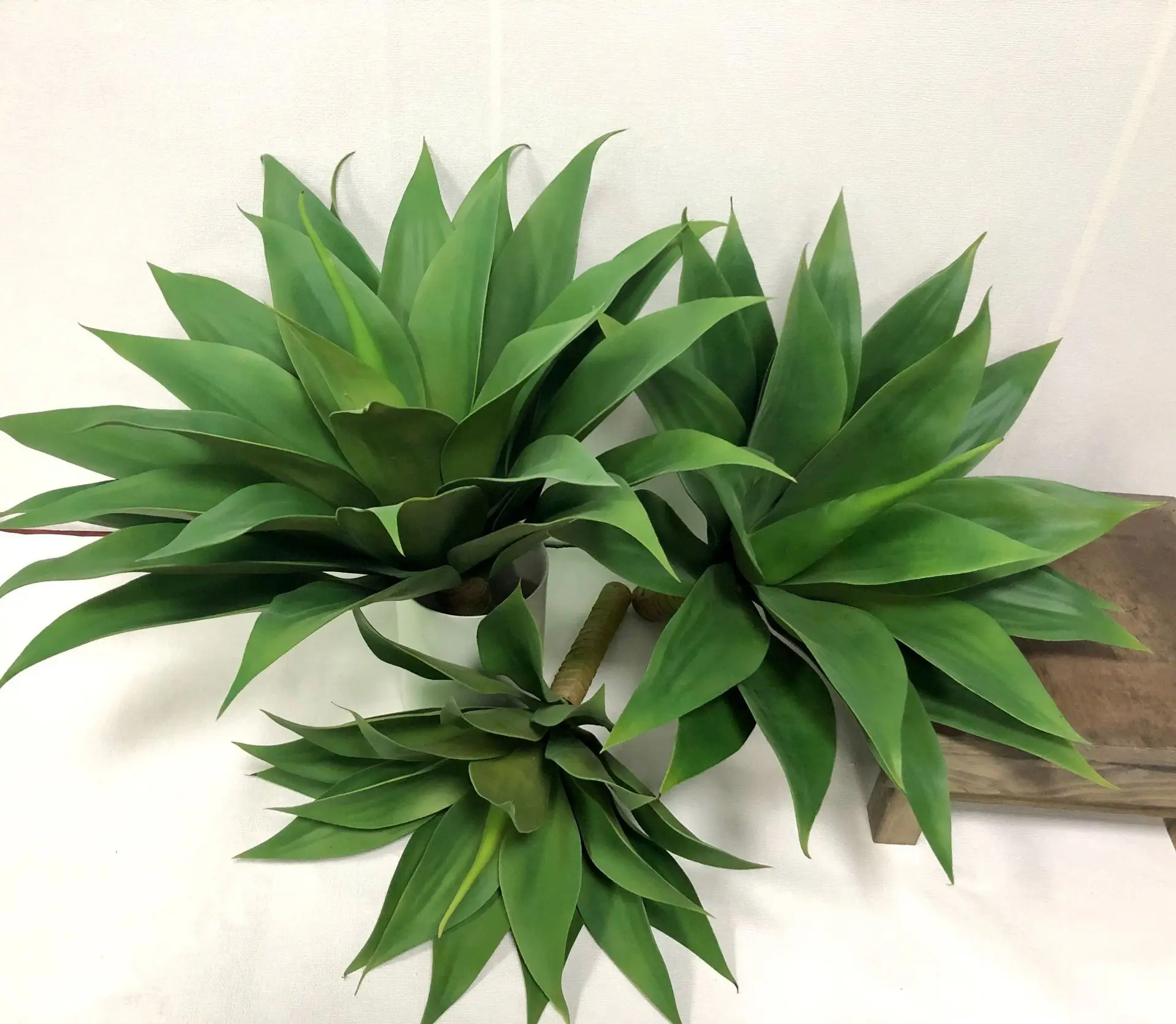 Artificial Plastic Agave Plant