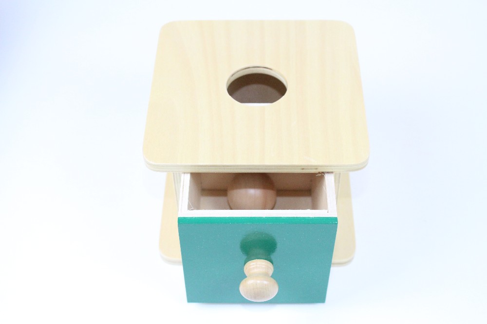 Montessori Educational Wooden Ball Matching Box for Kids