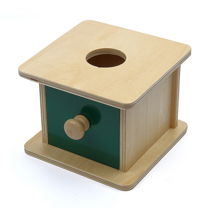 Montessori Educational Wooden Ball Matching Box for Kids