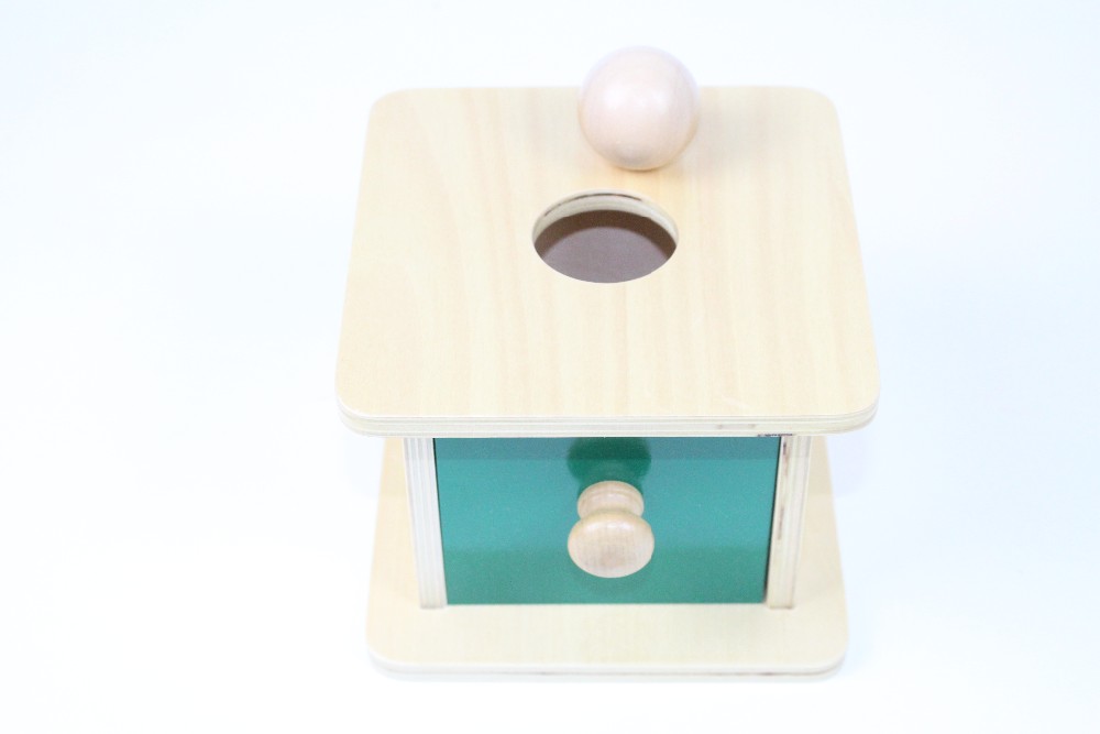 Montessori Educational Wooden Ball Matching Box for Kids