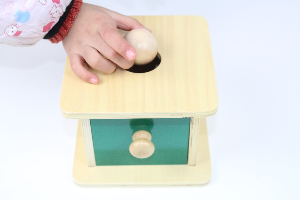 Montessori Educational Wooden Ball Matching Box for Kids