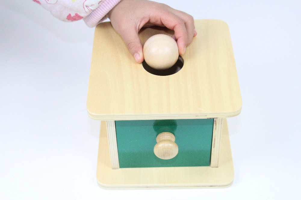 Montessori Educational Wooden Ball Matching Box for Kids