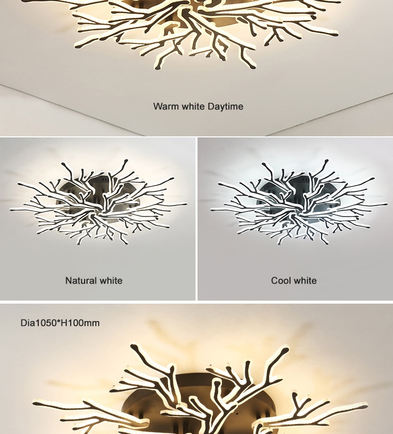 Creative Wedge Ceiling Light with Remote Control