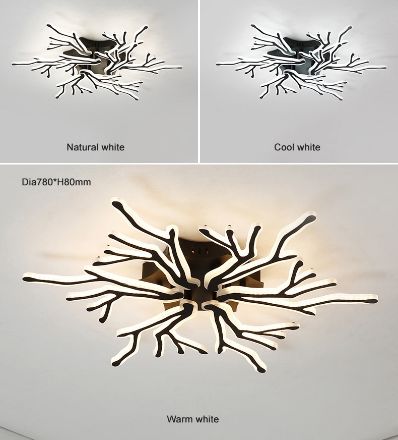 Creative Wedge Ceiling Light with Remote Control