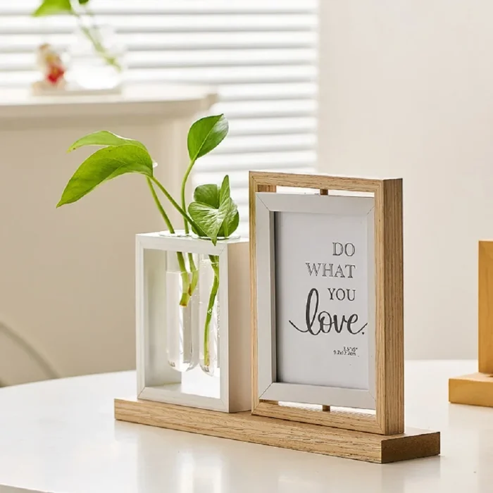 Creative Hydroponic Plant Photo Frame